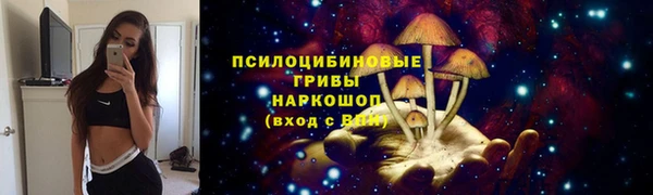 МДПВ Лихославль