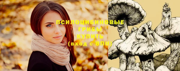мет Липки