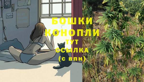 МДПВ Лихославль
