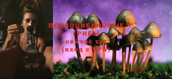 бошки Лиски