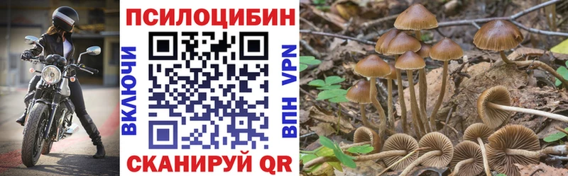 Псилоцибиновые грибы Magic Shrooms  Купить где  Пикалёво 